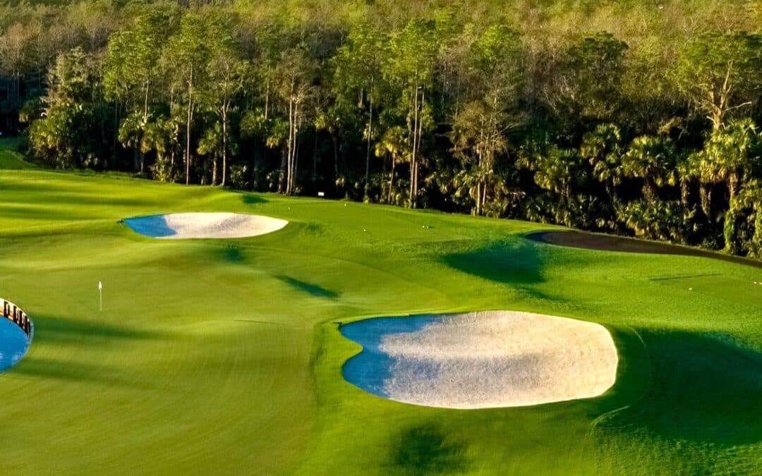 Bonita Bay Beauty