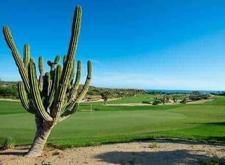 Pueblo Bonito Resorts Sustains Earth Day