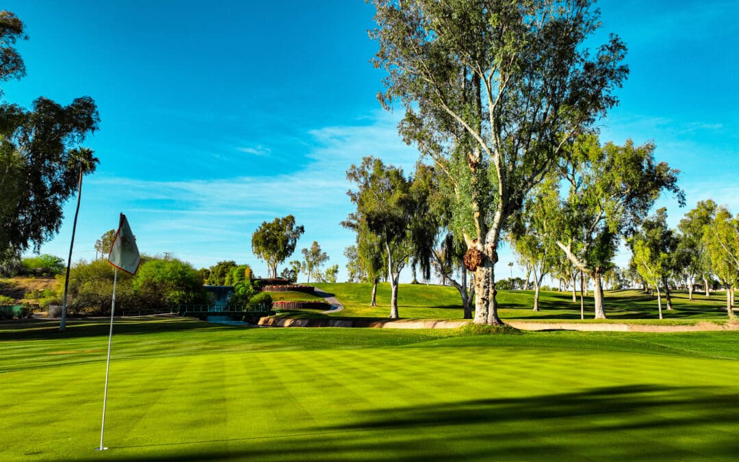 Mesa CC Celebrating 75 with Renovation