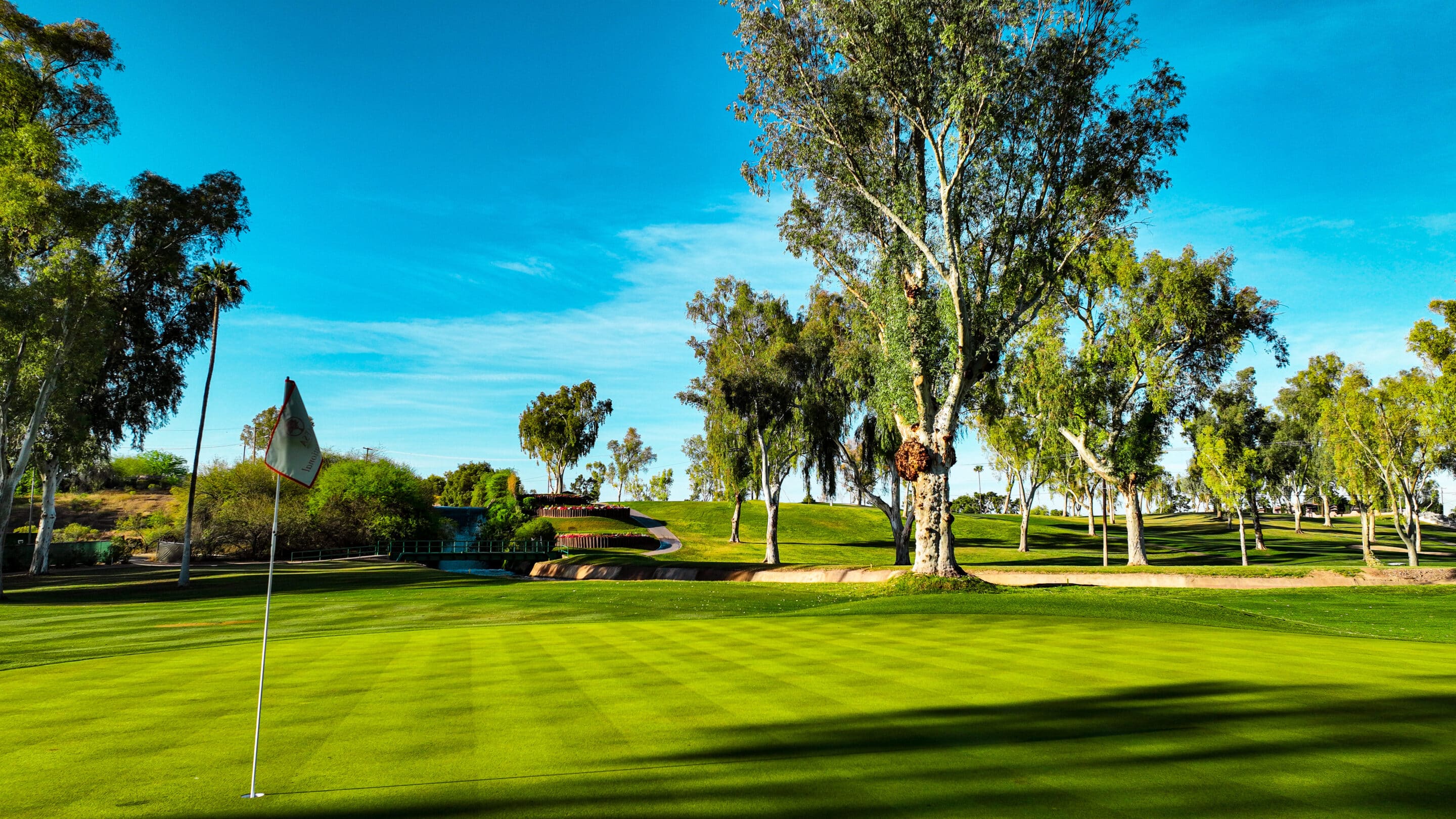 Mesa CC Celebrating 75 with Renovation - Spike on Golf & Travel Mesa