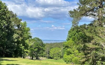 Landscapes Unlimited to Lead Texas Course Project