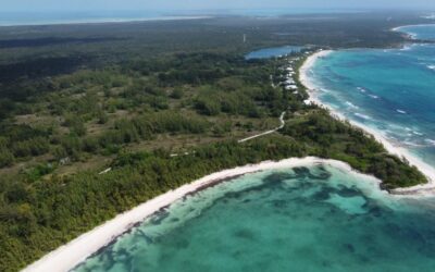 Robert Trent Jones, Jr., To Design new Cotton Bay Club