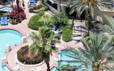 Wyndham Grand Orlando Teams with Wild Florida