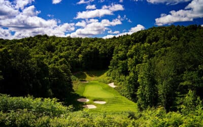 The Gaylord Golf Mecca Vibe