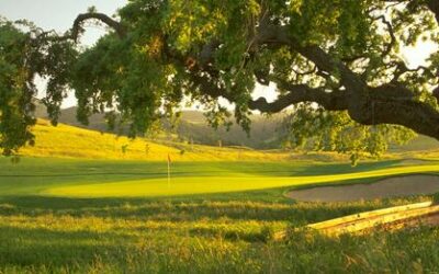 San Juan Oaks Golf Club Reopens For Daily Fee Play