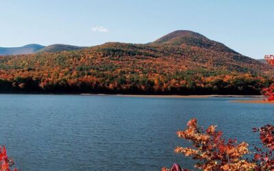 I LOVE NY Fall Foliage Report 