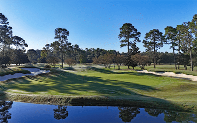 King’s North Reopens Along The Grand Strand