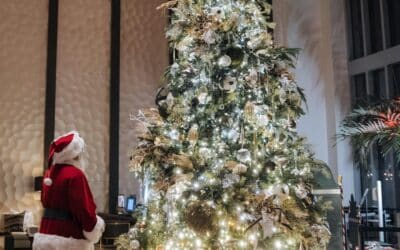 Celebrate the Season at Hilton West Palm Beach