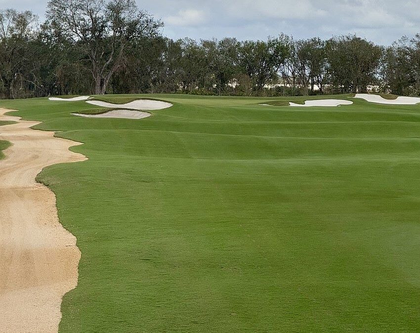 Calusa Country Club Opens for Play in SW Florida