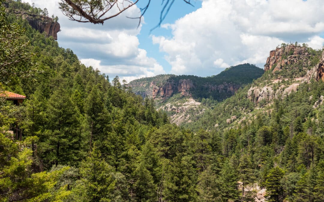 Copper Canyon Calling