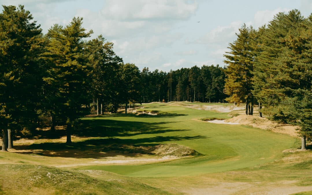 The Pines at The International Opening June 6