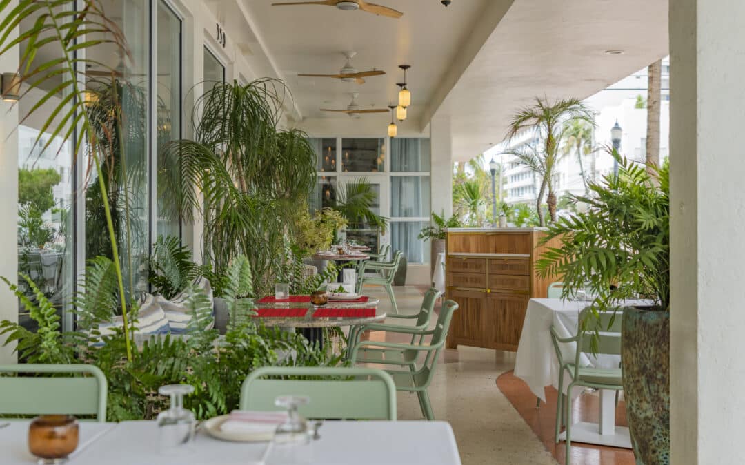 Cleo: Eastern Mediterranean cuisine in Miami Beach