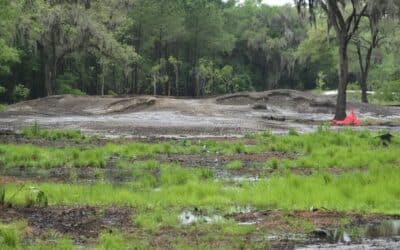 Zinkand Golf’s 12 Holer in the Lowcountry