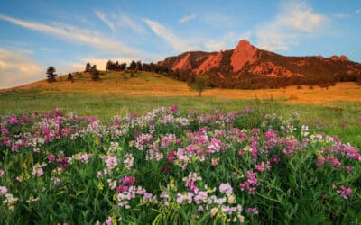Hike The Best of Colorado’s Trails