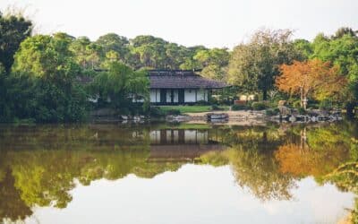 Sunset Stroll at Morikami Museum