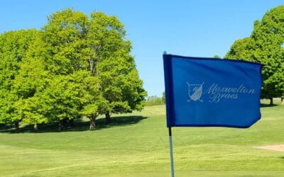 Maxwelton Braes: Mark Murphy’s Second Act