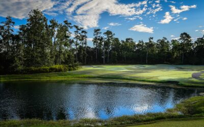 Post-Helene Tale of Augusta’s Forest Hills GC