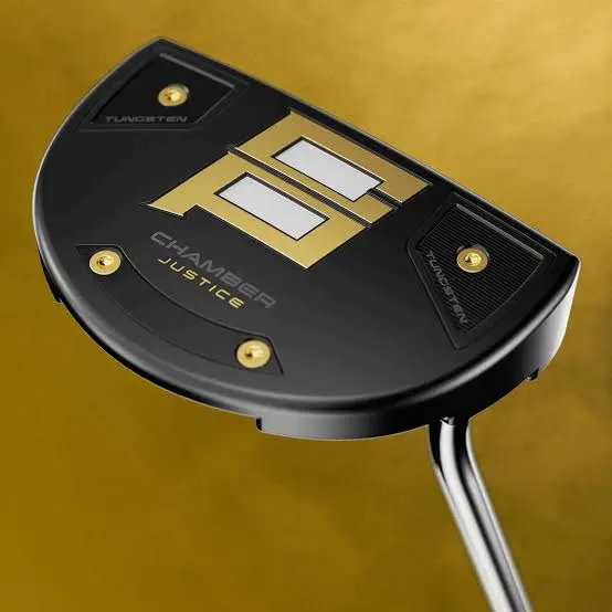 The Chamber Putter: Vikash Sanyal’s Third Act