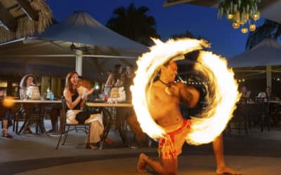 Paradise Nights Coming to Discovery Cove