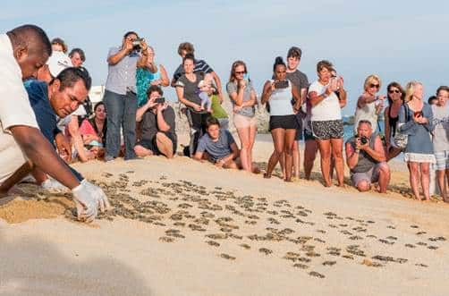 Pueblo Bonito Resorts Celebrates Earth Day