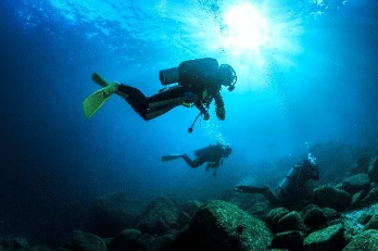 Dive Into Baja