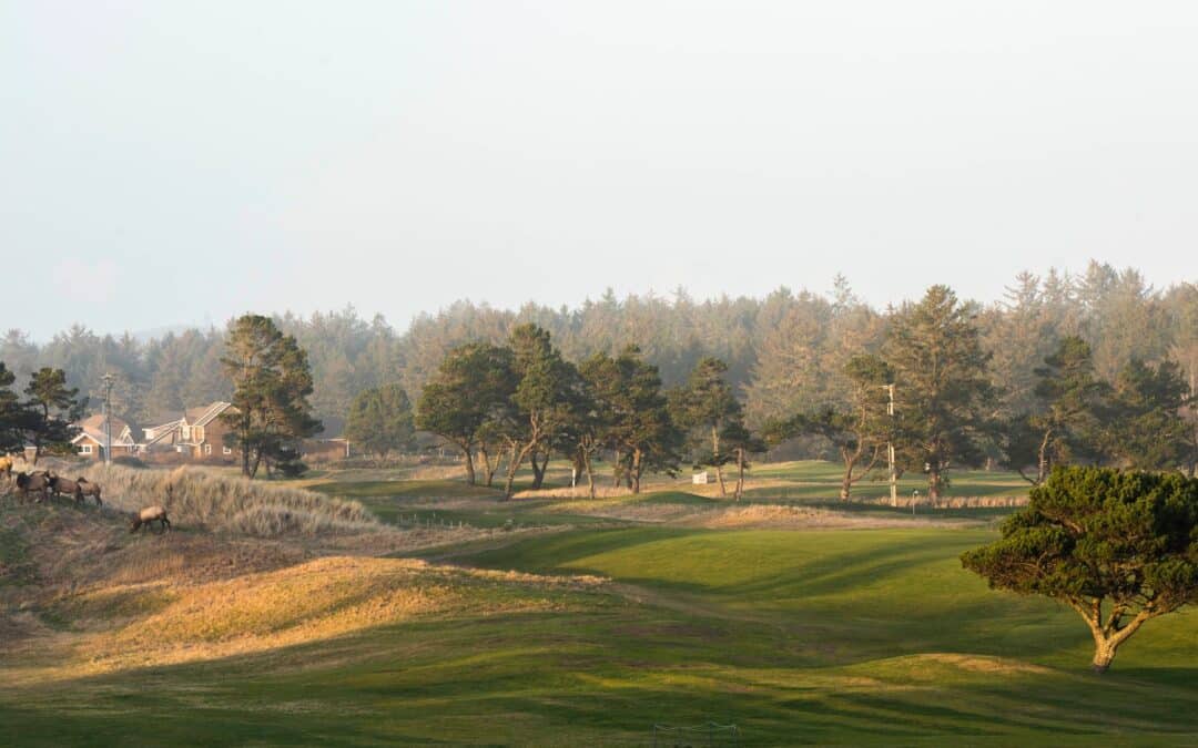 Gearhart Golf Links: Play ‘Til You Drop