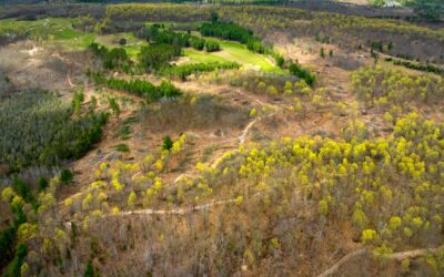 Escalante Golf Plans Coore/Crenshaw Course in Michigan