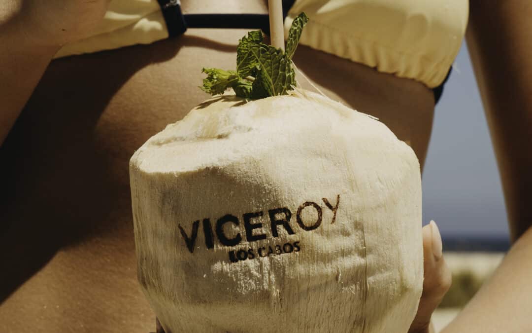 Viceroy Los Cabos: A Modernist Sanctuary