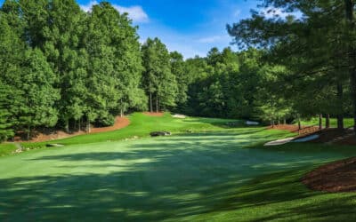 Champion Hills: Fazio’s Mountain Masterpiece