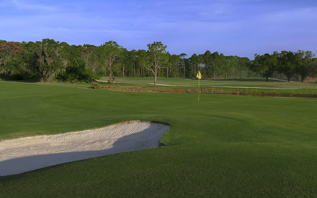 Disney World Golf: Happiest Place on Turf