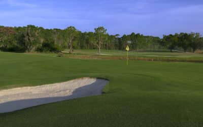 Disney World Golf: Happiest Place on Turf