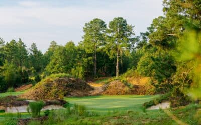 “Weirdly wonderful” Pinehurst No. 11