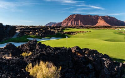 Reef Capital Launches Reef Destinations